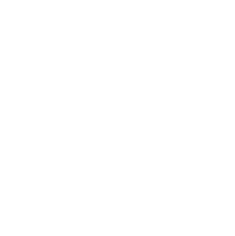 Dieses Kapitel ist wegen Renovierung vorübergehend geschlossen.